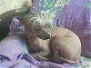   tusya