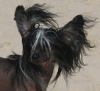   Liza