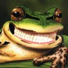   frogin