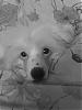   Katty