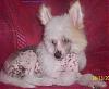   Perriss