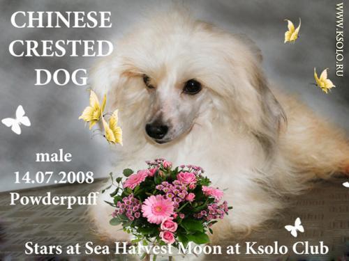 �������, ����� ����������� ��������