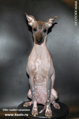 �������, ����� ����������� ��������