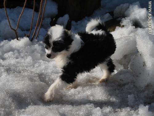 �������, ����� ����������� ��������