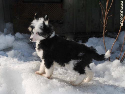 �������, ����� ����������� ��������