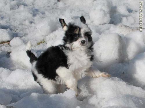 �������, ����� ����������� ��������