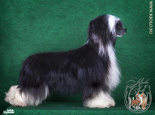 �������, ����� ����������� ��������