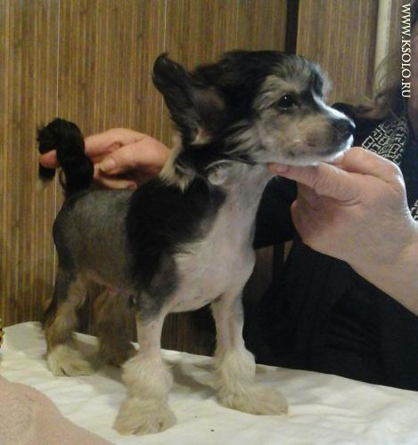 �������, ����� ����������� ��������