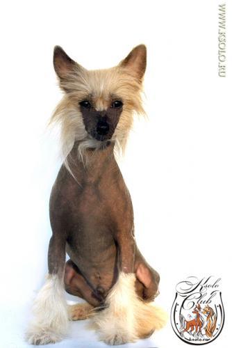 �������, ����� ����������� ��������