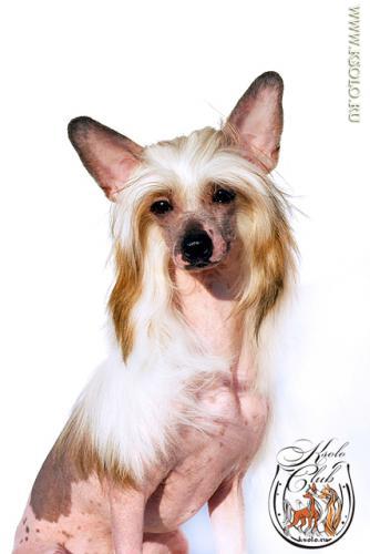 �������, ����� ����������� ��������