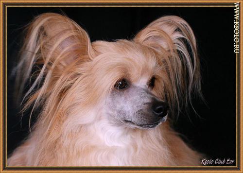 �������, ����� ����������� ��������