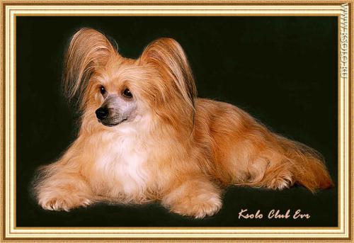 �������, ����� ����������� ��������