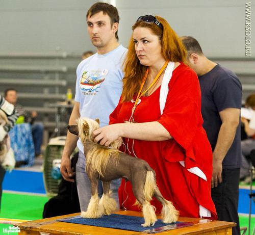 �������, ����� ����������� ��������