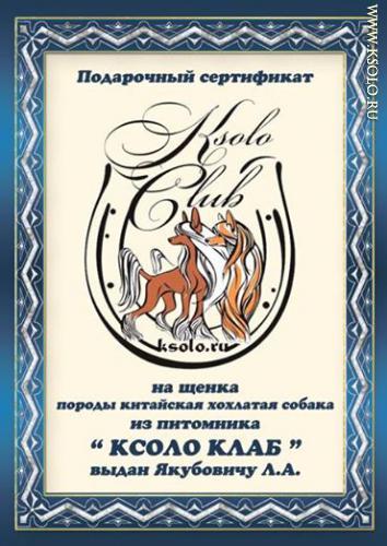 �������, ����� ����������� ��������