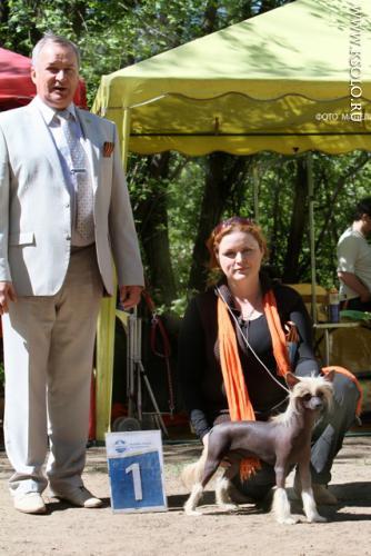 �������, ����� ����������� ��������