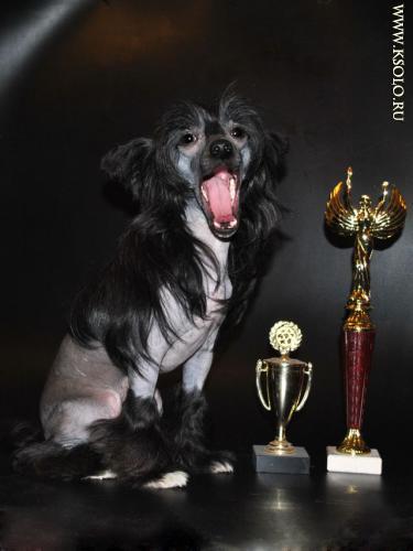 �������, ����� ����������� ��������