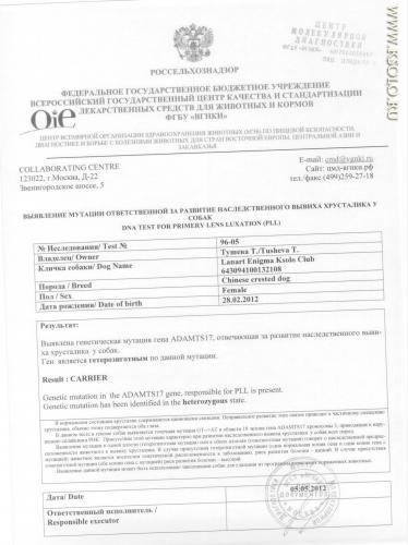 �������, ����� ����������� ��������