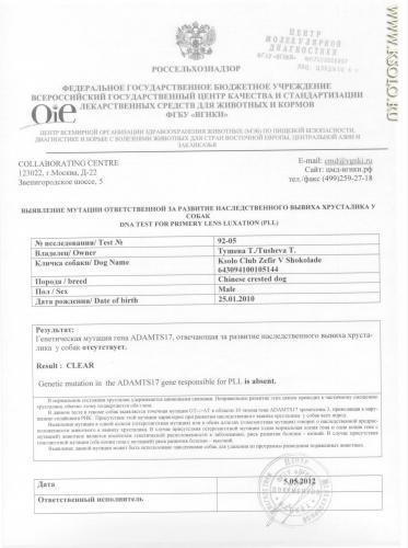 �������, ����� ����������� ��������