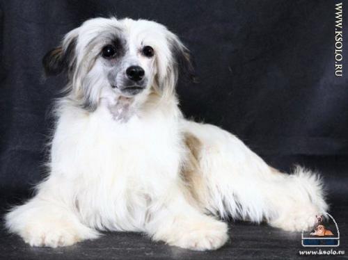 �������, ����� ����������� ��������