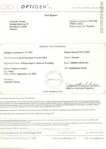 �������, ����� ����������� ��������