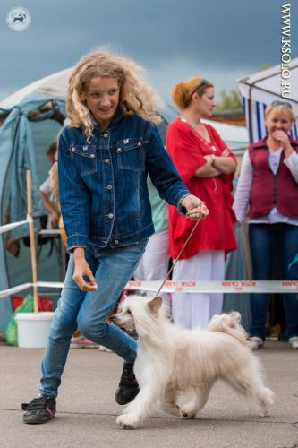 �������, ����� ����������� ��������