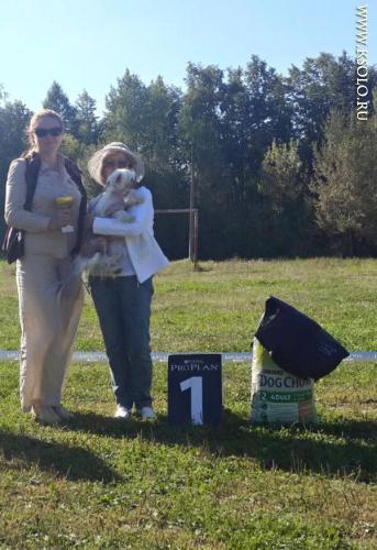 �������, ����� ����������� ��������