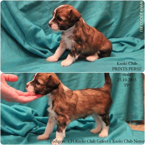 �������, ����� ����������� ��������