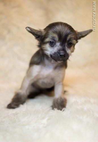 �������, ����� ����������� ��������