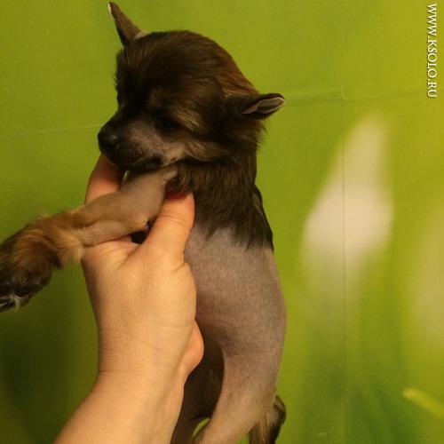 �������, ����� ����������� ��������