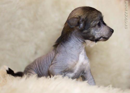 �������, ����� ����������� ��������