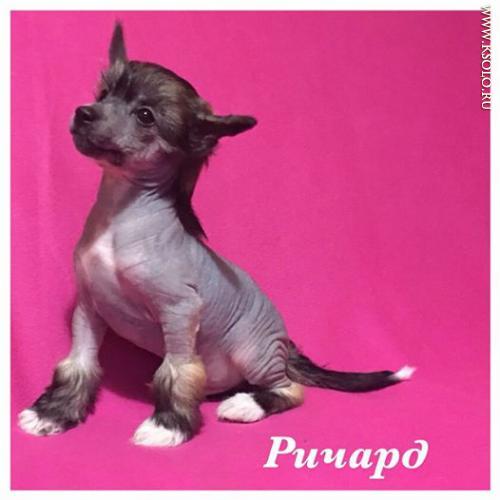 �������, ����� ����������� ��������