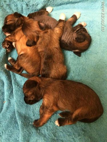 �������, ����� ����������� ��������