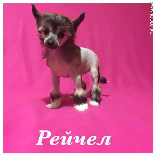 �������, ����� ����������� ��������