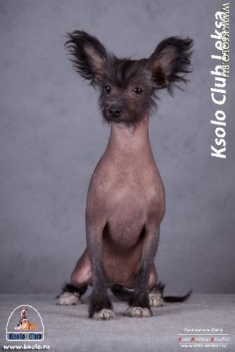 �������, ����� ����������� ��������