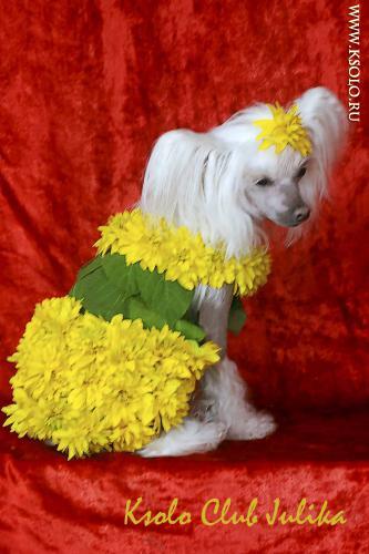 �������, ����� ����������� ��������