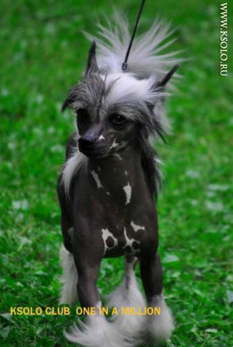 �������, ����� ����������� ��������