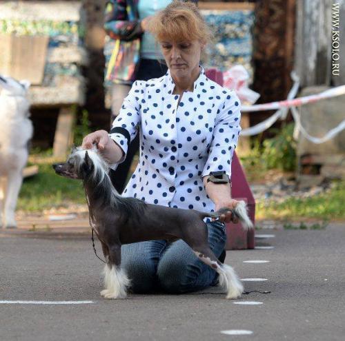 �������, ����� ����������� ��������