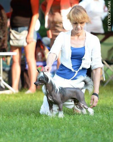 �������, ����� ����������� ��������