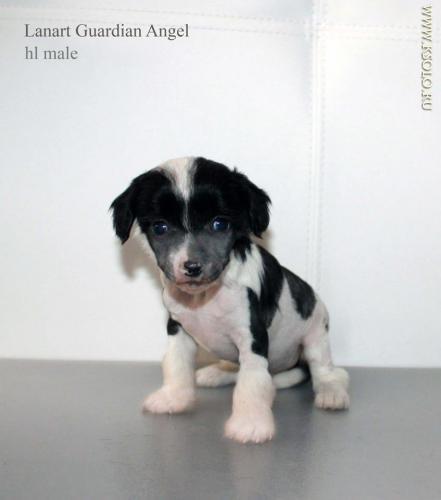 �������, ����� ����������� ��������