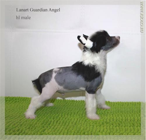 �������, ����� ����������� ��������