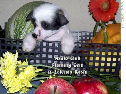 �������, ����� ����������� ��������