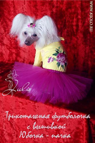 �������, ����� ����������� ��������