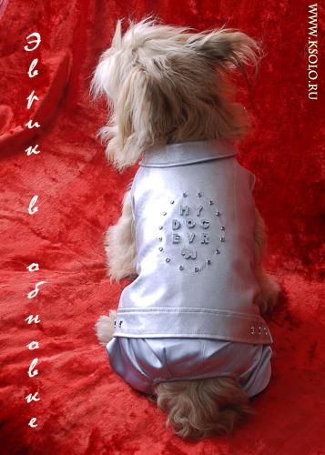 �������, ����� ����������� ��������