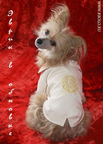 �������, ����� ����������� ��������