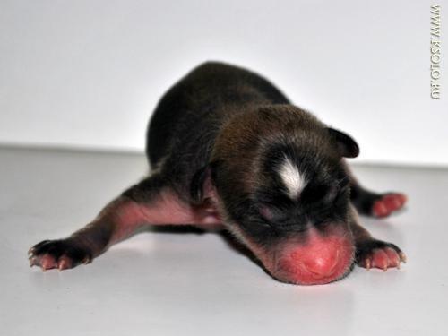 �������, ����� ����������� ��������