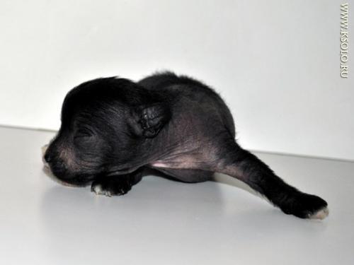 �������, ����� ����������� ��������