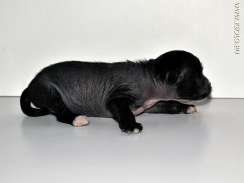 �������, ����� ����������� ��������