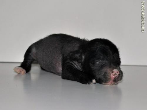 �������, ����� ����������� ��������