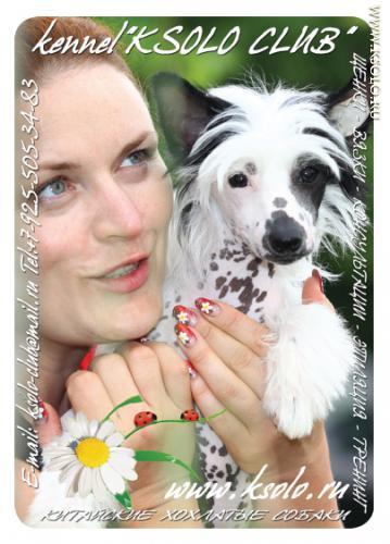 �������, ����� ����������� ��������