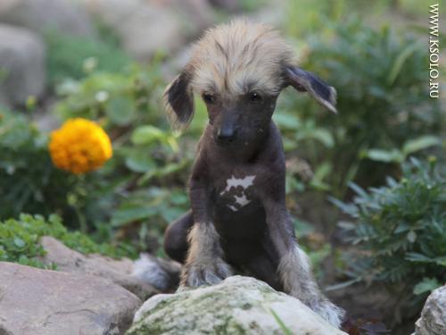 �������, ����� ����������� ��������